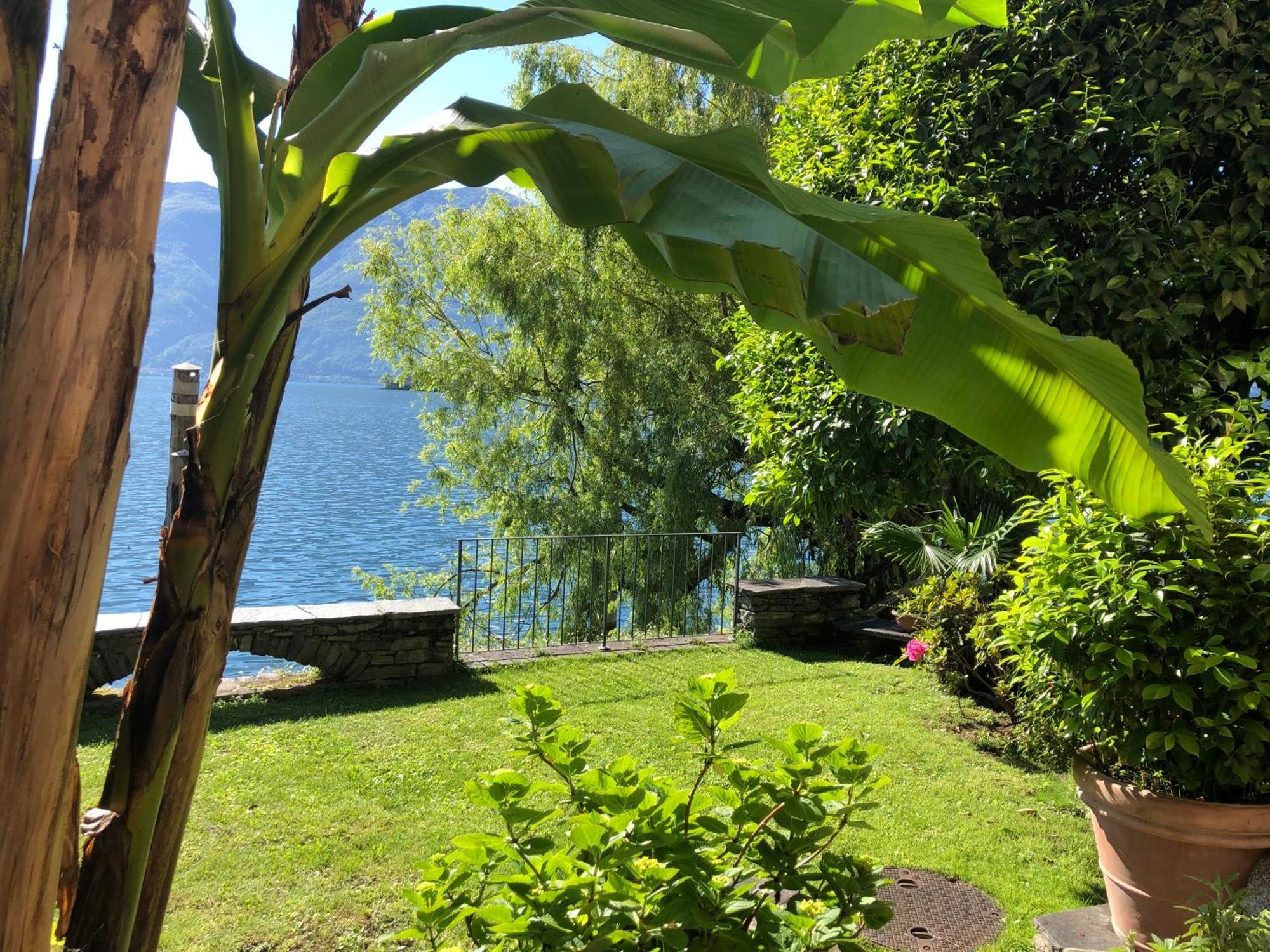 Apartments Posta Al Lago Ronco sopra Ascona Dış mekan fotoğraf