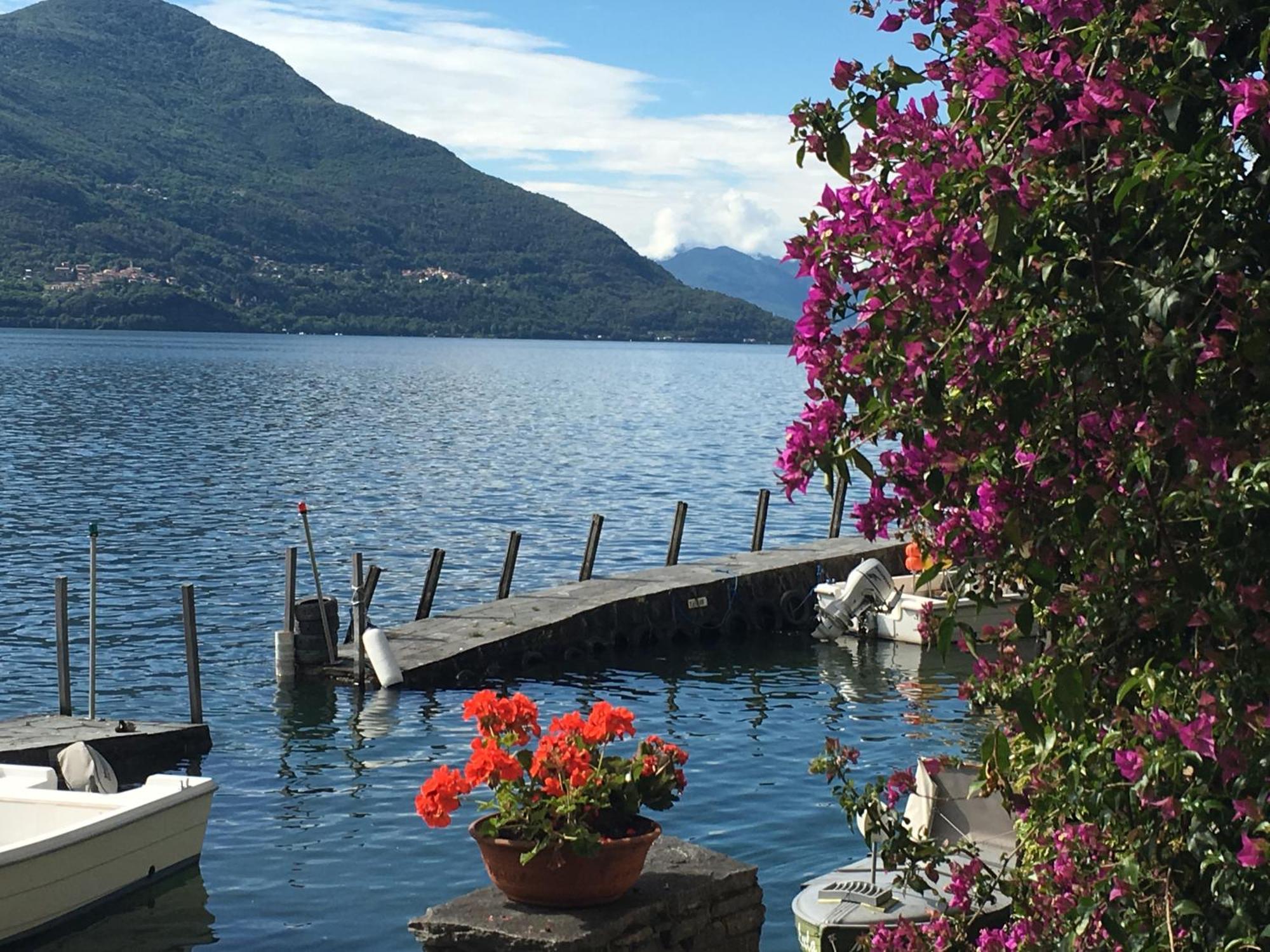 Apartments Posta Al Lago Ronco sopra Ascona Oda fotoğraf