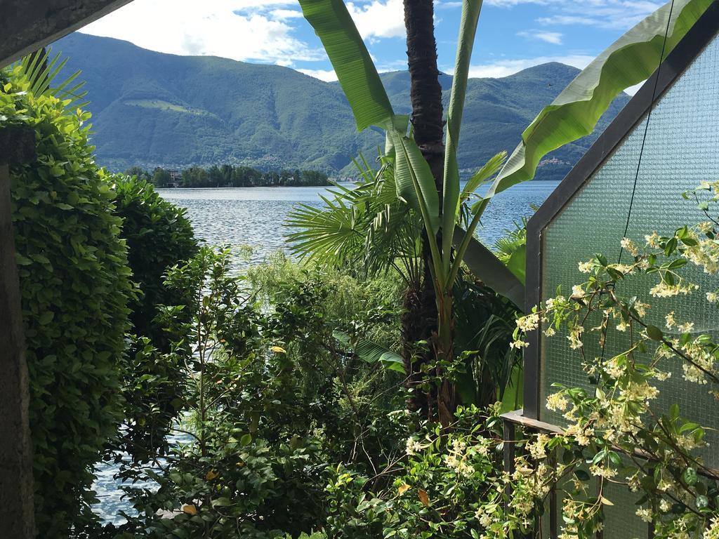 Apartments Posta Al Lago Ronco sopra Ascona Dış mekan fotoğraf