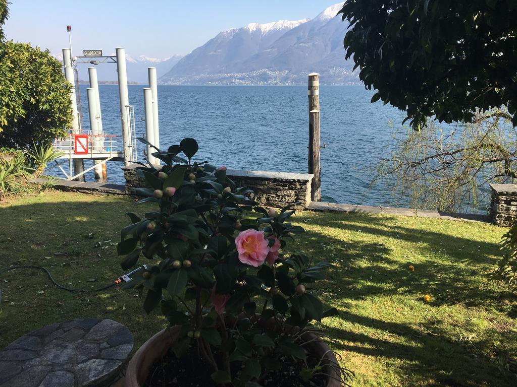 Apartments Posta Al Lago Ronco sopra Ascona Dış mekan fotoğraf