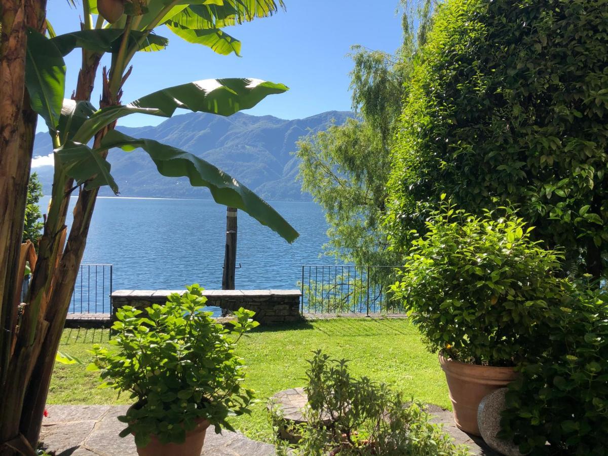 Apartments Posta Al Lago Ronco sopra Ascona Dış mekan fotoğraf