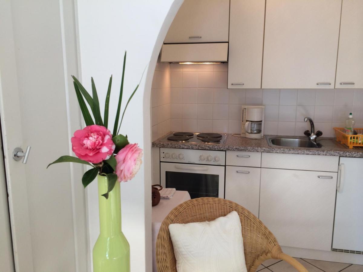 Apartments Posta Al Lago Ronco sopra Ascona Dış mekan fotoğraf
